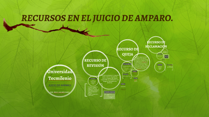 Recursos En El Juicio De Amparo By Freddie Uscanga On Prezi 5132