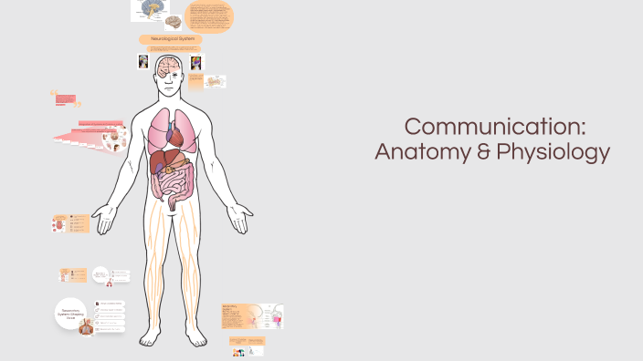 The Communication Process: Anatomy and Physiology Perspective by Kyra ...