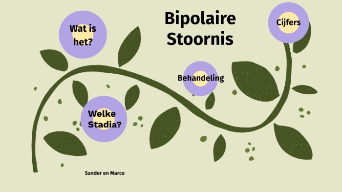 Bipolaire stoornis by Sandy VG on Prezi