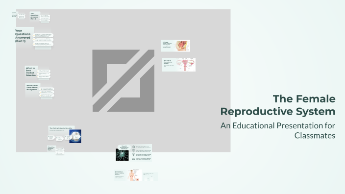 The Female Reproductive System by Riann on Prezi