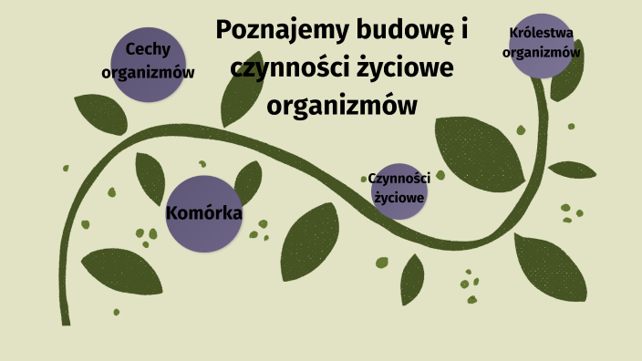 Czynności Zyciowe Organizmów Sprawdzian Klasa 6 Poznajemy budowę i czynności życiowe organizmów by Sylwia Kaniewska on
