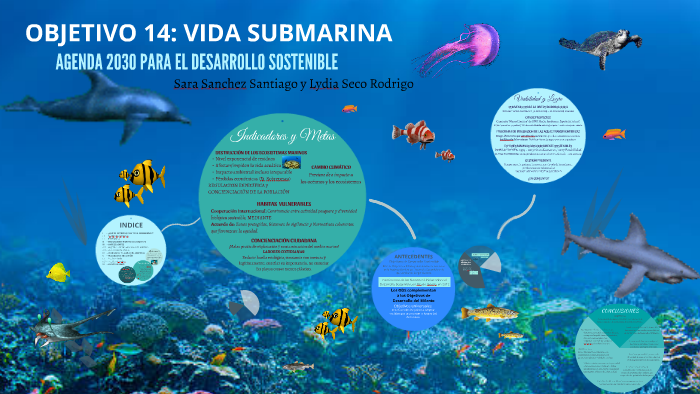 OBJETIVO 14: VIDA SUBMARINA By Lydia Seco Rodrigo On Prezi