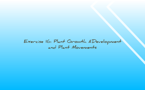 Exercise 16: Plant Growth & Development and Plant Movements by Daniel Tan