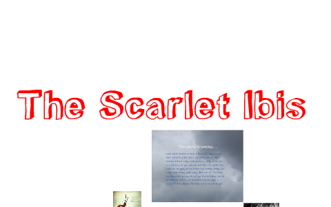 Scarlet Ibis: character analysis by Robyn Morris on Prezi