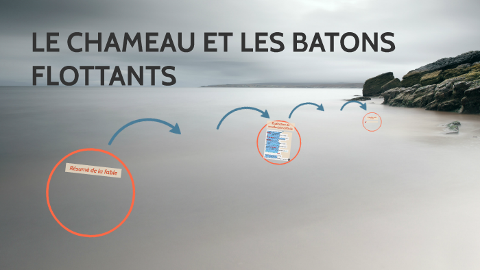 Le Chameau Et Les Bâtons Flottants