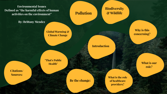 Environmental Issues by Brittany Mendez on Prezi