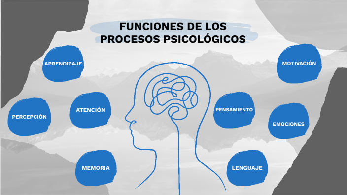 Mapa conceptual Procesos psicológicos by Sebastian Zarta Rodriguez on Prezi  Next