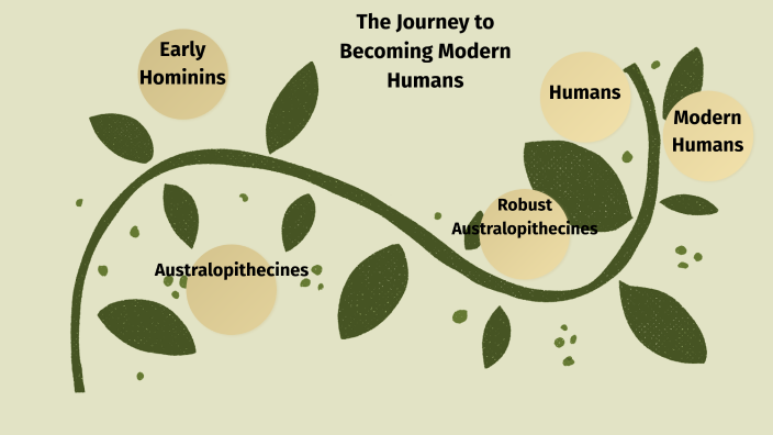 The Evolution of the Human Species by Libby Phillips on Prezi