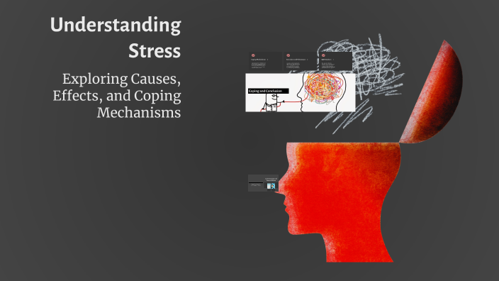 Understanding Stress by Sarah Ouhib on Prezi