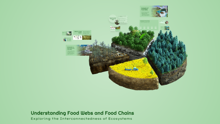 Understanding Food Webs and Food Chains by Melvin Ejiogu on Prezi