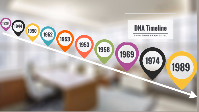 DNA Timeline by Emma Gruver on Prezi