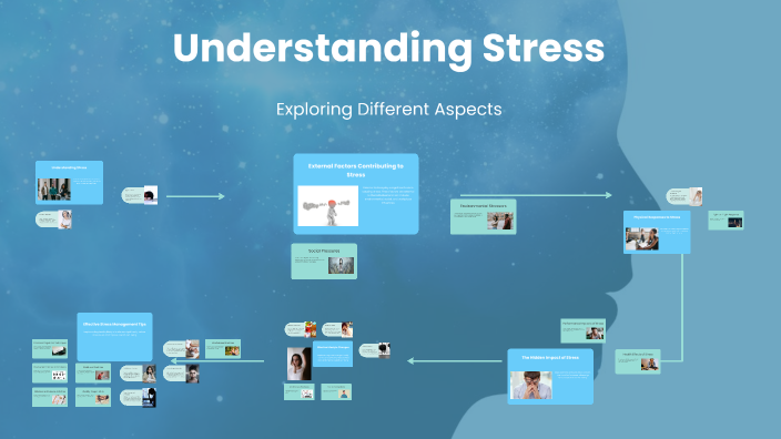 Understanding Stress by Ayesha on Prezi