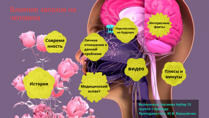 Как запахи влияют на человека проект