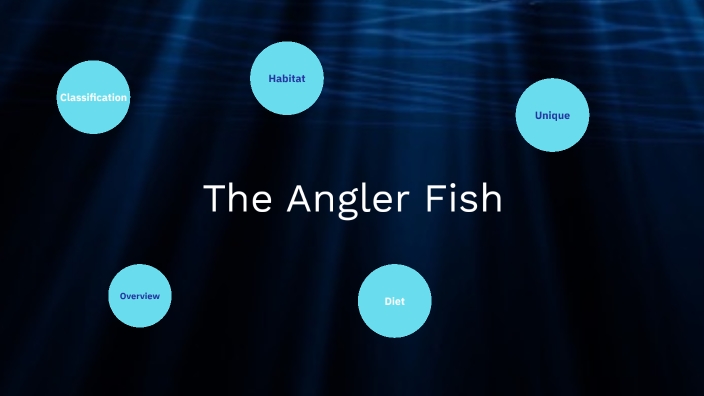 Angler Fish by Natalie Justman on Prezi