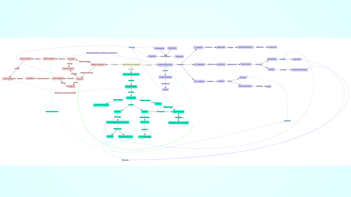 Concept Map Presentation by Patrick on Prezi