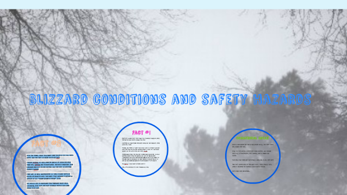 Blizzard Conditions and Safety Hazards by Rileigh Gifford