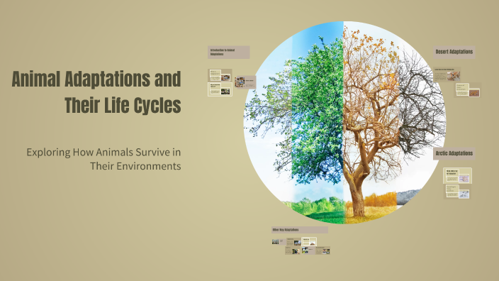Animal Adaptations and Their Life Cycles by Mario Hornsby on Prezi