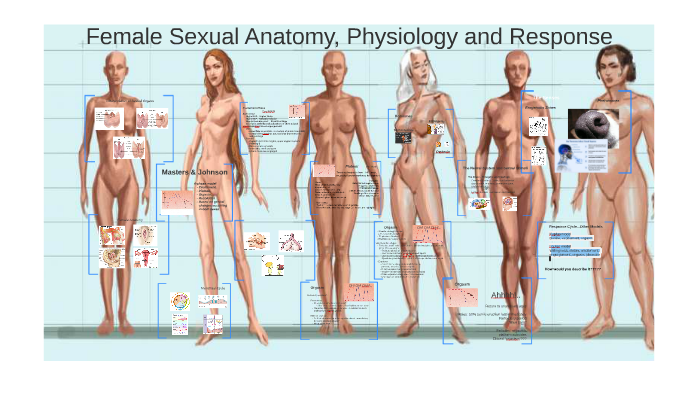 masters of anatomy female