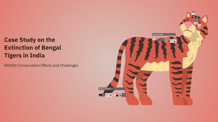 Case Study on the Extinction of Bengal Tigers in India by Smit Patel on ...