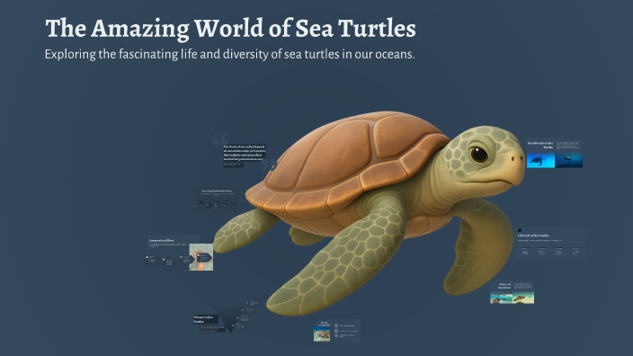 The Amazing World of Sea Turtles by Kristen Hoffman on Prezi