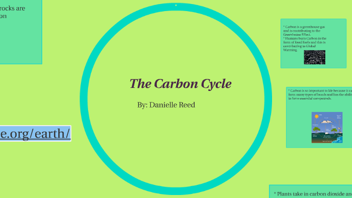 The Carbon Cycle by Danielle Reed on Prezi
