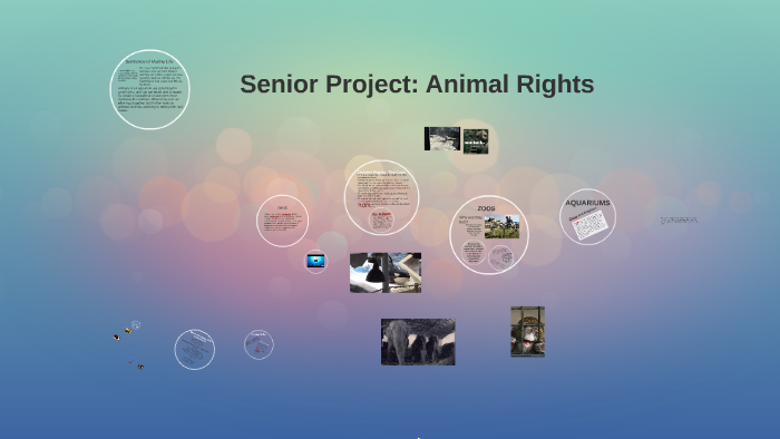 Senior Project: Animal Rights by emma wischmeyer on Prezi