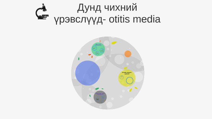дунд чихний үрэвслүүд by Б. Энхтуул on Prezi