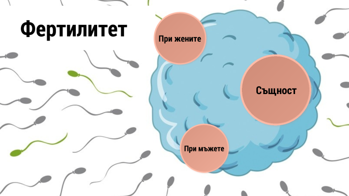 Фертилитет by Никол Кунова on Prezi