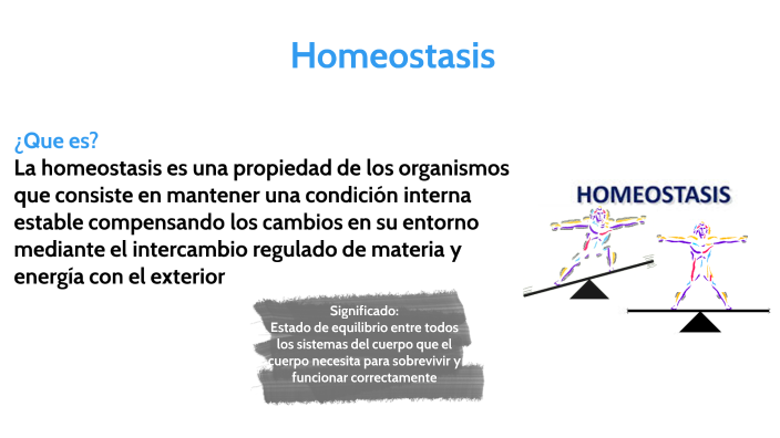 Homeostasis by Valentina Gonzalez on Prezi