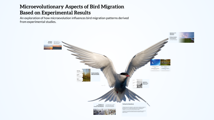 Microevolutionary Aspects of Bird Migration Based on Experimental ...
