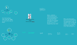 robots now and in the future