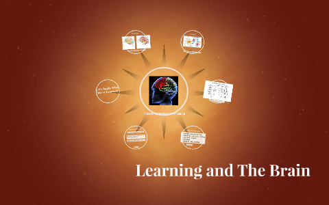 Learning and The Brain by Rebecca Wise on Prezi