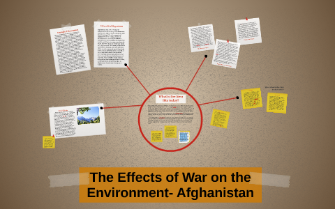 effects of war on environment essay