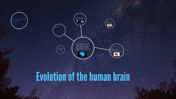 evolution of the brain by Dillon Greenhill on Prezi