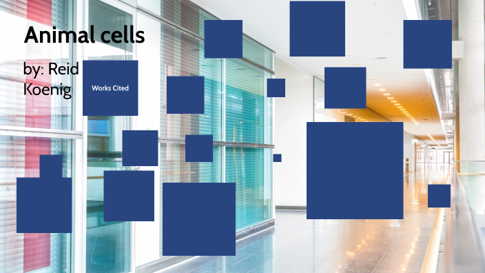 Animal cell by Reid Koenig on Prezi