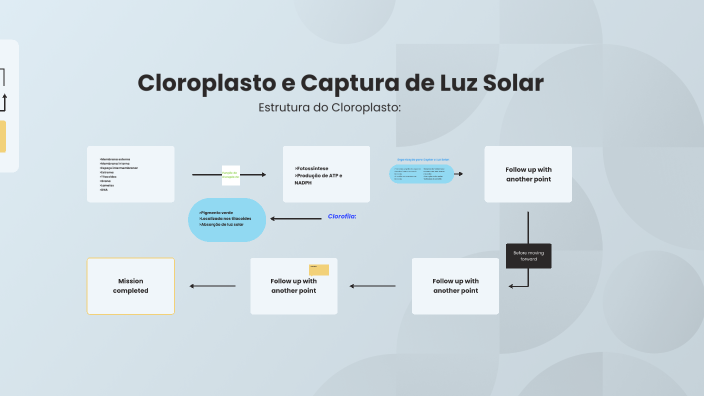 Bio - Mapa Mental by beatriz b on Prezi