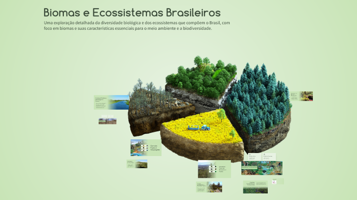 Biomas e Ecossistemas Brasileiros by rinaldo mori on Prezi