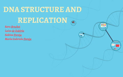 DNA STRUCTURE by on Prezi