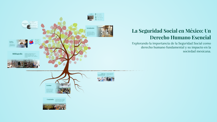 La Seguridad Social en México: Un Derecho Humano Esencial by Danna ...