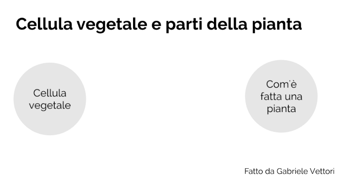 Cellula vegetale e le parti della pianta by Gabriele Vettori on Prezi