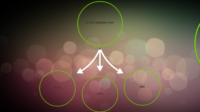 Direccion Del Activo De Produccion Samaria Luna prezi.com