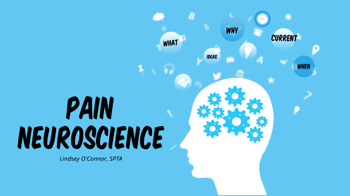 Pain Neuroscience Education by Lindsey O'Connor on Prezi