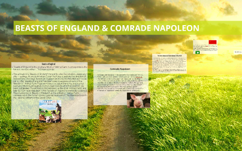 BEASTS OF ENGLAND & COMRADE NAPOLEON by Alice J