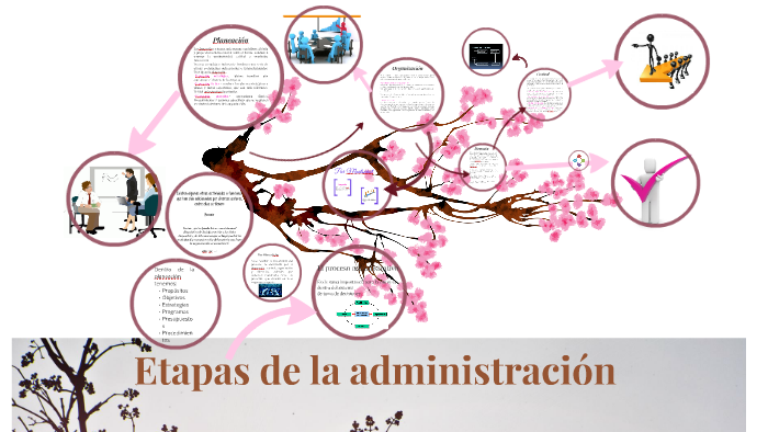 Etapas de la administración by itzel Sánchez on Prezi