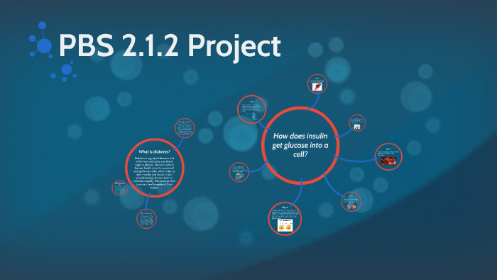 Pbs 2 1 2 Project By M Mac On Prezi Next