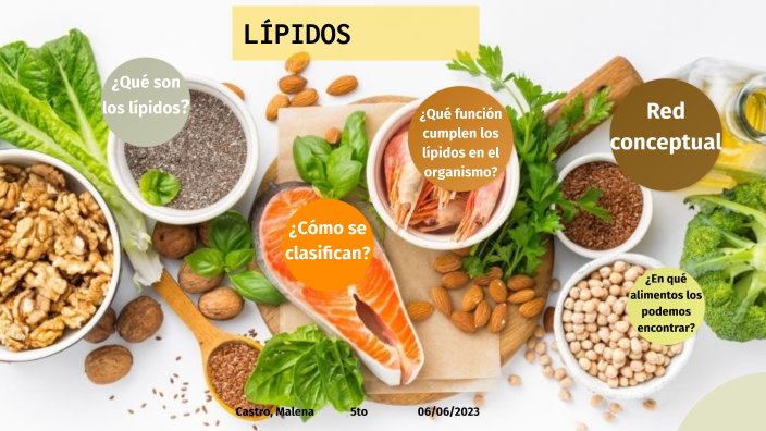 LIPIDOS by malena castro on Prezi