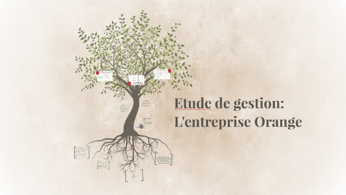 Etude de gestion by Elodie Kerhir on Prezi