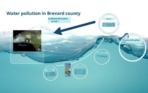 Water pollution in Brevard county by kaya mccutchan on Prezi