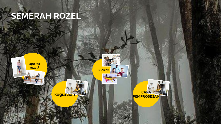semerah rozel by syf izti on Prezi