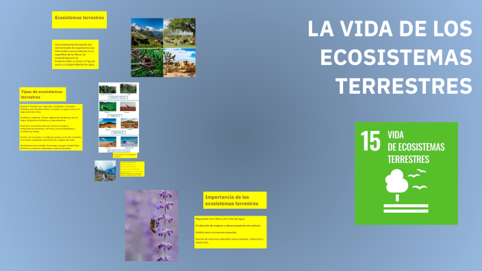 Explorando Ecosistemas Naturales by Luis Guillen on Prezi